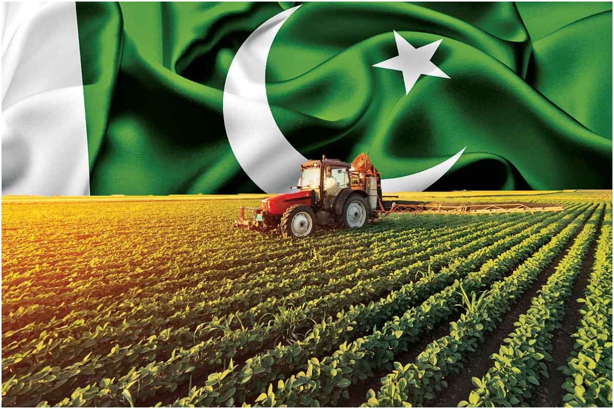 Agriculture sector of Pakistan